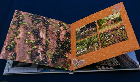 Álbum Fotográfico - 180 graus'