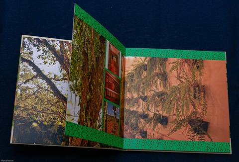 Álbum Fotográfico'