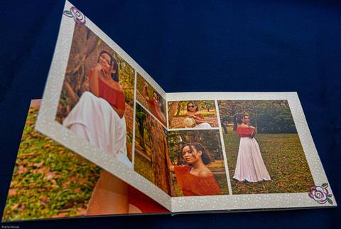 Álbum Fotográfico'