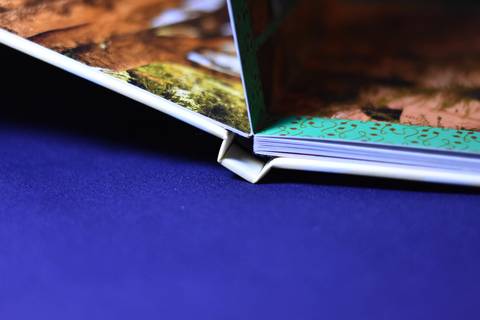 Álbum Fotográfico'