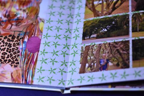 Álbum Fotográfico'