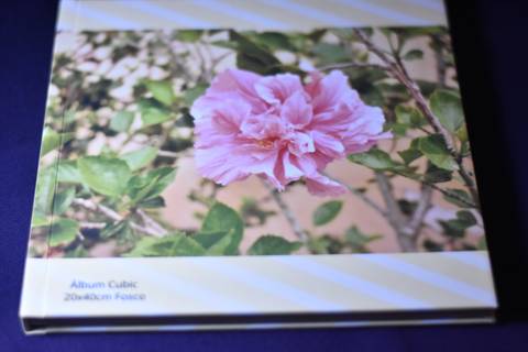 Álbum Fotográfico'