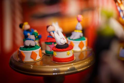 Tami Rodriguez - Cobertura de Evento Infantil - Del Castilho-RJ.'