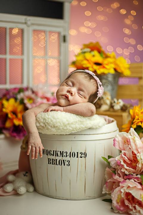 Ensaio Newborn Gêmeas - Niterói'