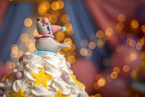 SMASH THE CAKE CIRCO ROSA - ELOÍSA'