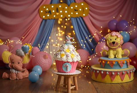 SMASH THE CAKE CIRCO ROSA - ELOÍSA'