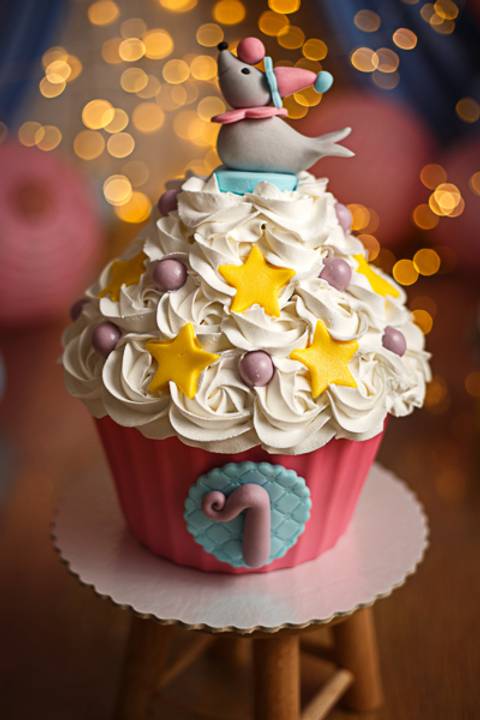 SMASH THE CAKE CIRCO ROSA - ELOÍSA'