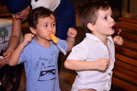 Tatiani Araujo fotografia fotógrafa festa infantil São Paulo família eventos crianças'