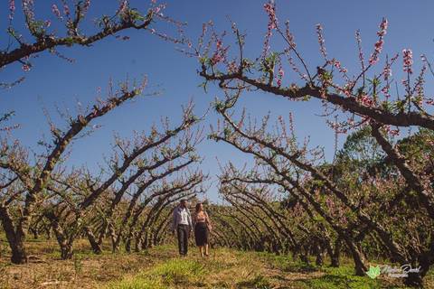 Alexandre e Mariana
Pré Wedding
Barabcena - MG'