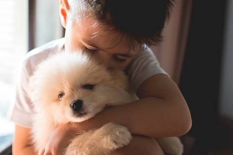 acompanhamento-ensaioemcasa-luznatural-lifestyle-familia-priscilianas-prisciladagnesi-fotografiadefamilia-sp-acompanhamentoinfantil-ensaiodefamilia-saopaulo-vilaromana-vilaleopoldina-vilapompeia-lapa-maedemenina-maedemenino-maedeprimeiraviagem-brincadeira'