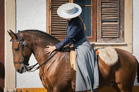 Golega cavalos sessão/carloshernani/photography/golega'