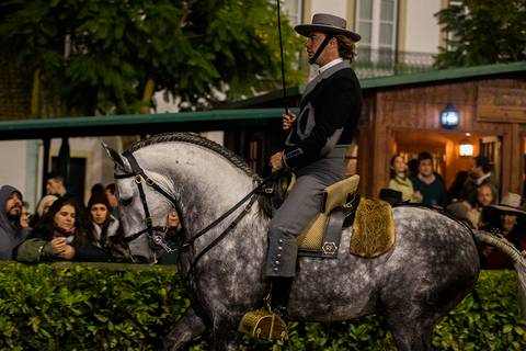 tauromaquia- rui Fernandes- Golega - traje/carloshernani/photography/golega '