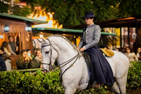 tradição cavalos Golega equestre traje/carloshernani/photography/golega '