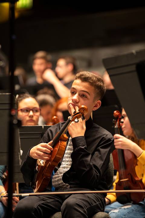 casa da  musica; concerto natal musica violino '
