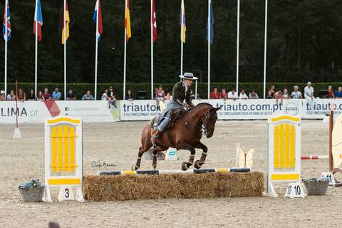 ponte de lima_expolima/carloshernani/photography'