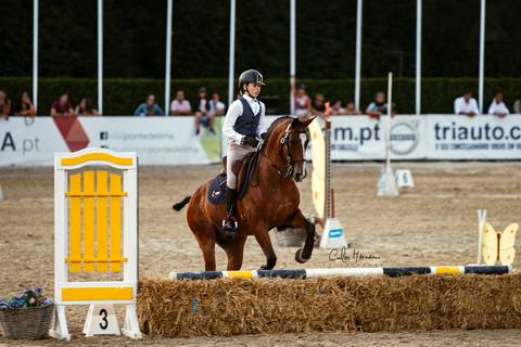 Holanda team/carloshernani/photography'