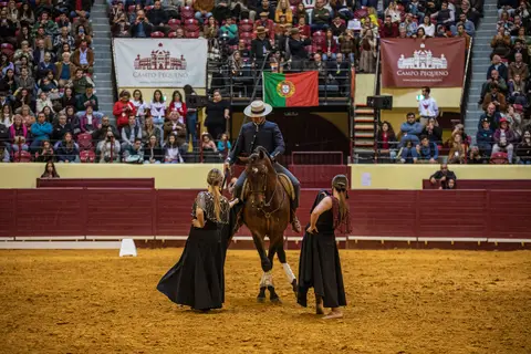 Sevilha_dia da tauromaquia/carloshernaniphotography/lusitanoworld'