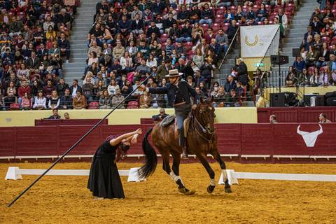 midafonseca/carloshernaniphotography/lusitanoworld'