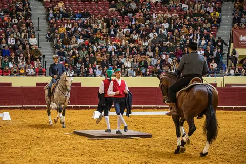 campinos/carloshernaniphotography/lusitanoworld'