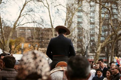 midafonseca/carloshernaniphotography/lusitanoworld'