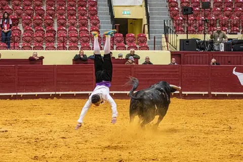 toirobravo/carloshernaniphotography/lusitanoworld'