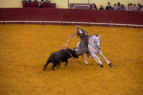 /carloshernaniphotography/lusitanoworld'