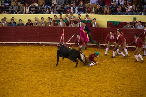 forcados_dia da tauromaquia/carloshernaniphotography/lusitanoworld'