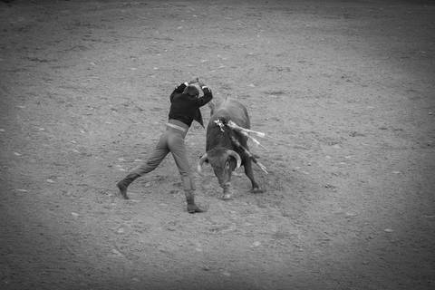 bullfight/carloshernaniphotography/lusitanoworld '