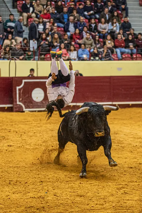 recortadores/carloshernaniphotography/lusitanoworld'
