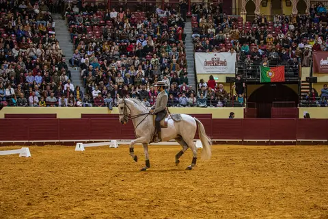 Joao maria diniz/carloshernaniphotography/lusitanoworld'