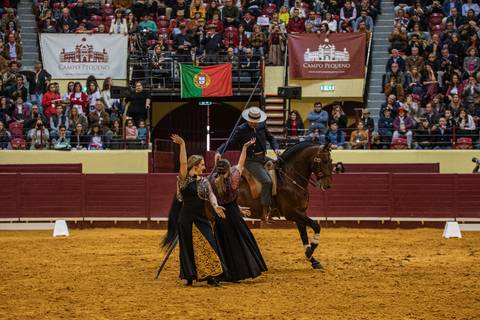 midafonseca_sevilhanas/carloshernaniphotography/lusitanoworld'