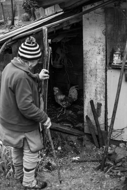 campo_idosos_solidão/carloshernaniphotography'