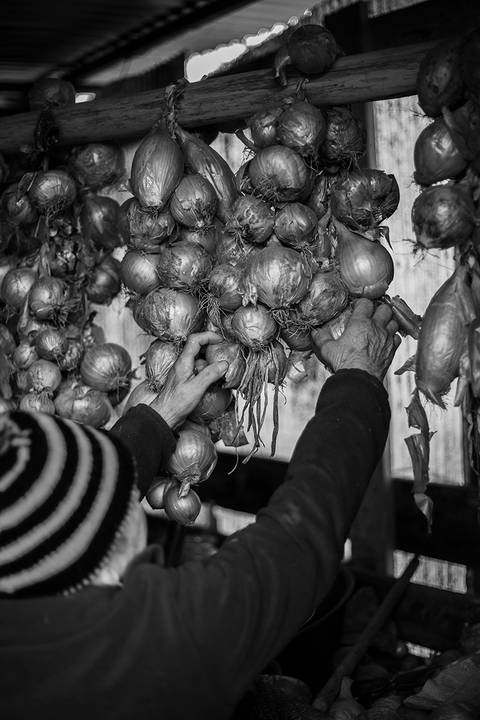 campo_terra_lousada_solidão/carloshernaniphotography'