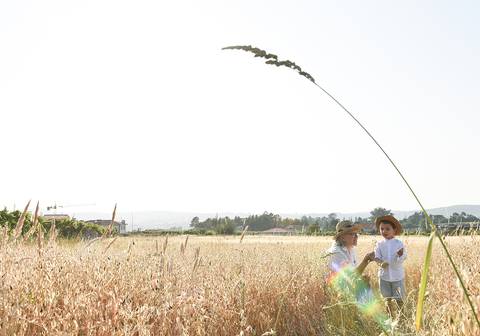 avó com neto campo de trigo'