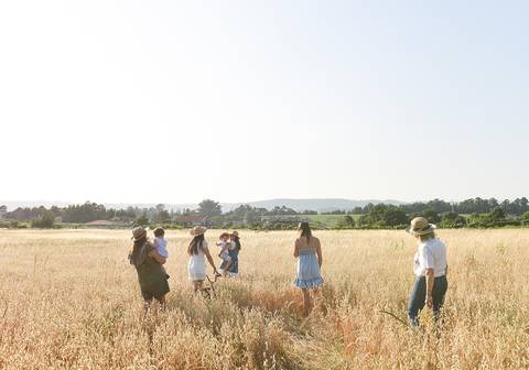 mulheres campo de trigo'