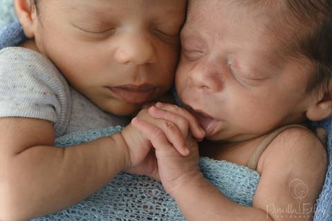 Book Gêmeos Recém-Nascidos'