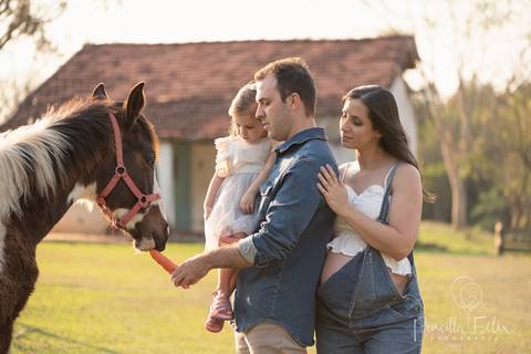 Foto Gestante Externo'