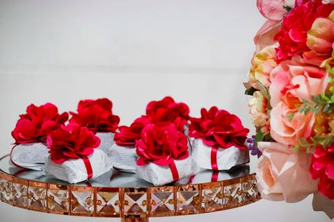 Cobertura Fotográfica de aniversário 15 anos de Agatha - Foto Rebecca Torquato'