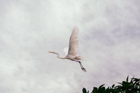 '