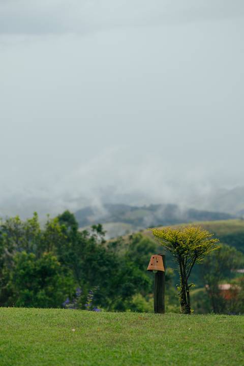 '
