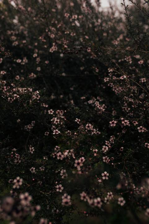 '