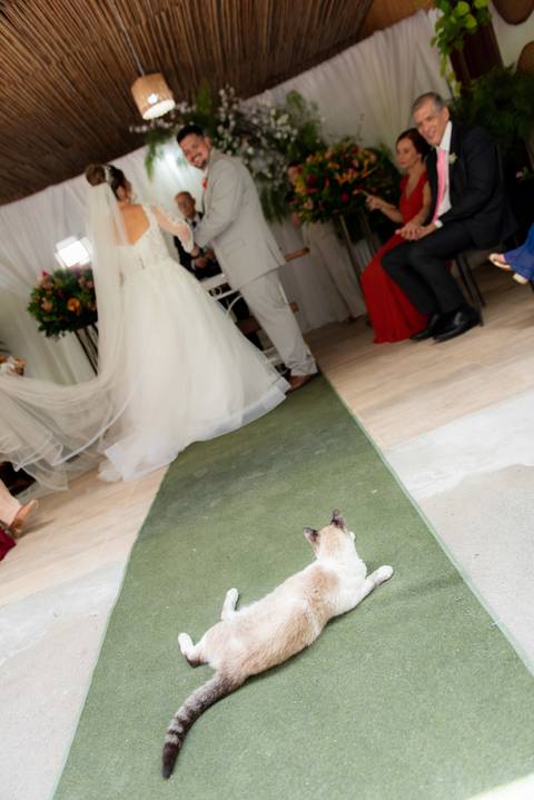 Fotografia de casamento emocionante em Alto Caparaó, MG. Registro autêntico e cheio de sentimento nas montanhas de Minas Gerais.'
