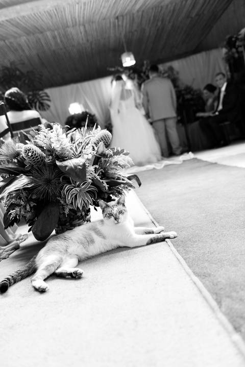 Fotografia de casamento emocionante em Alto Caparaó, MG. Registro autêntico e cheio de sentimento nas montanhas de Minas Gerais.'