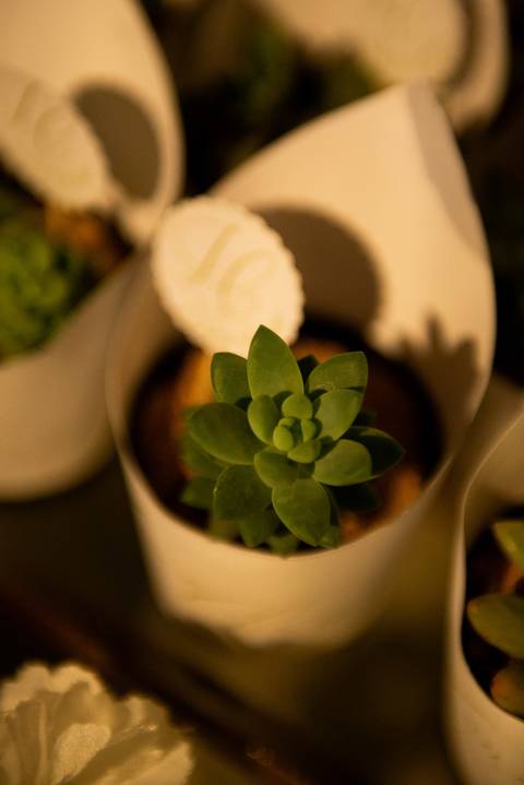 Wedding com estilo atemporal em Muriaé, MG. Fotografia autêntica e minimalista'