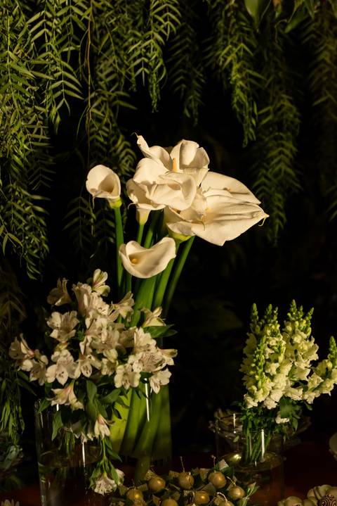 Fotógrafo de casamento atemporal registrando noivos em Carangola MG'