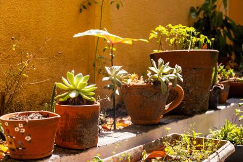 Fotografia profissional de uma casa no bairro Jardim Samambaia, em Praia Grande, SP, pelo fotógrafo profissional de imóveis Fernando Freire, foto para anúncio no Airbnb e Booking. Ambiente da garagem.'