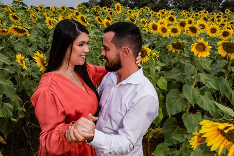 ensaio casal macena flores holambra pre wedding lindo dançando plantação girasol'