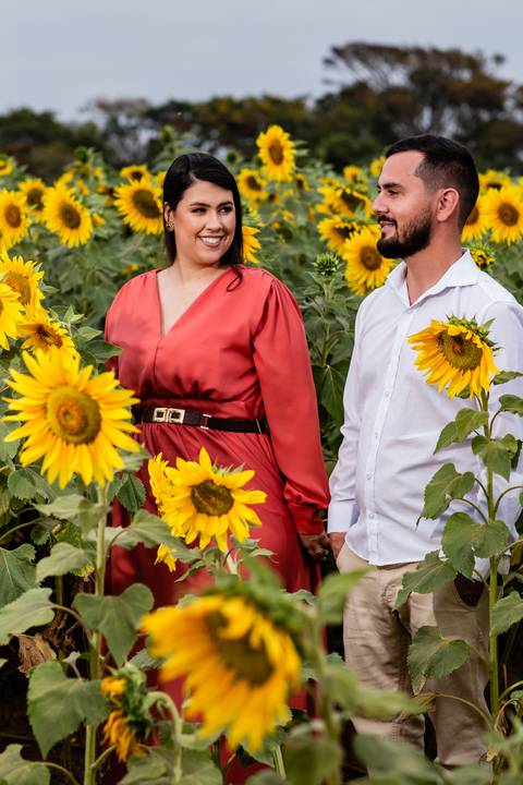ensaio casal macena flores holambra pre wedding lindo  caminhando plantação girasol'
