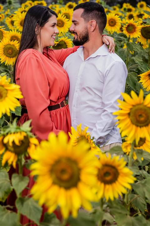 ensaio casal macena flores holambra pre wedding lindo  coladinho plantação girasol'