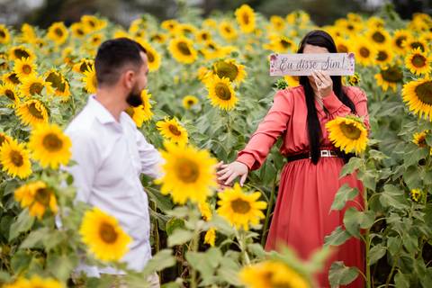 ensaio casal macena flores holambra pre wedding lindo  noiva com placa eu disse sim plantação girasol'